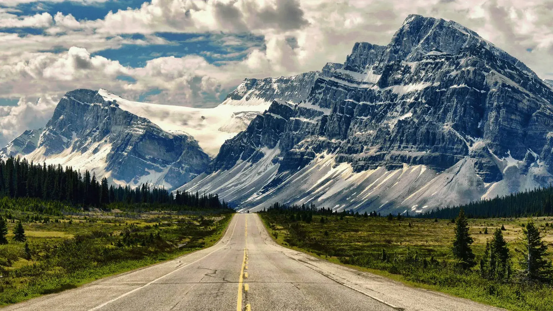 学向勤中得，萤窗万卷书-2025小记